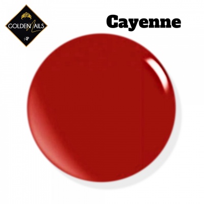 CAYENNE 