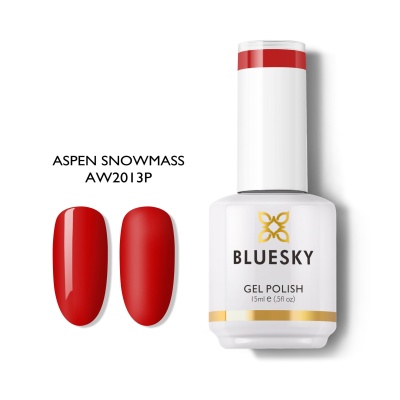 ASPEN SNOWMASS